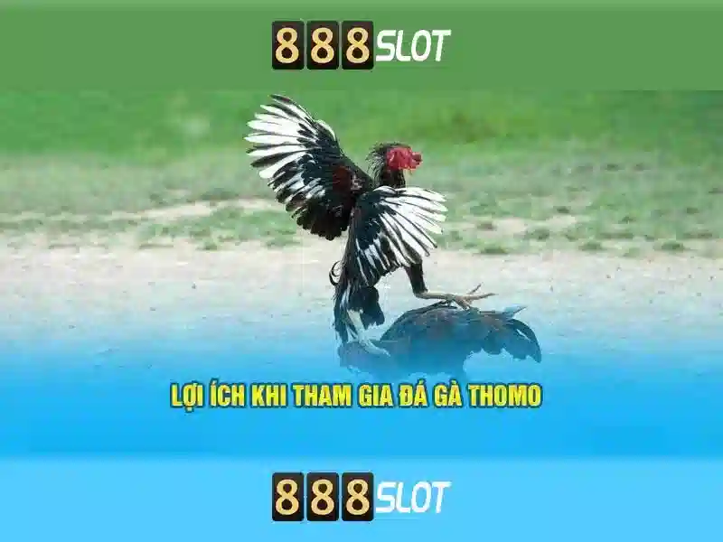 like slot 888 – Khám phá hệ sinh thái casino slot online 888