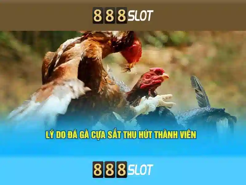 slot 888 pg – tổng quan chủ đề và giá trị cốt lõi