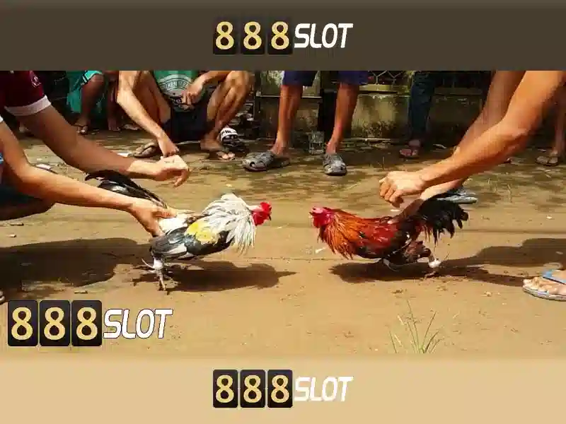 888slot: Đánh giá và Hướng dẫn chơi