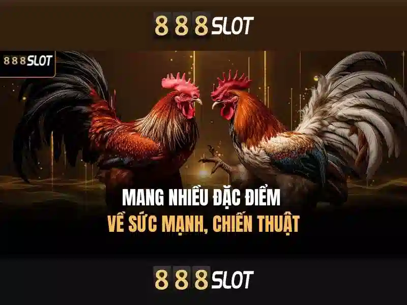 Lý do người dùng lựa chọn 888slot Lý do người dùng lựa chọn 888slot