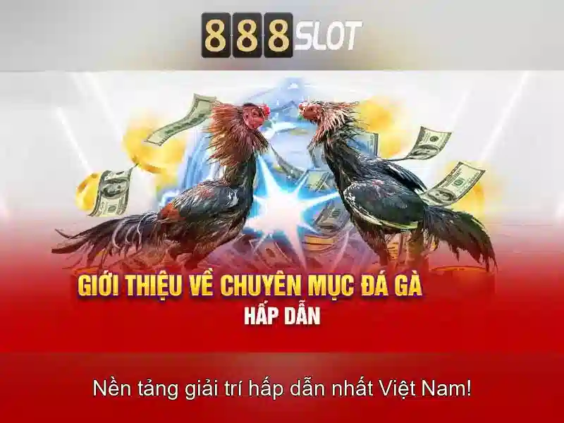 Hỗ trợ khách hàng và dịch vụ Hỗ trợ khách hàng và dịch vụ