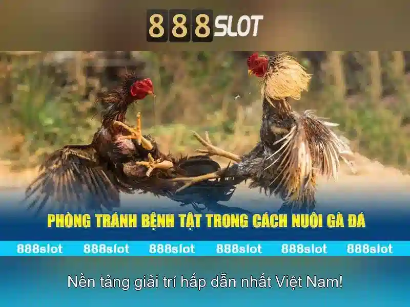 Tính năng nổi bật của 888slot\n\n Tính năng nổi bật của 888slot\n\n