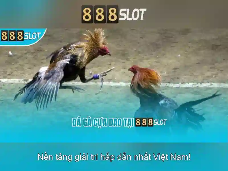 Khuyến mãi và chương trình khách hàng thân thiết